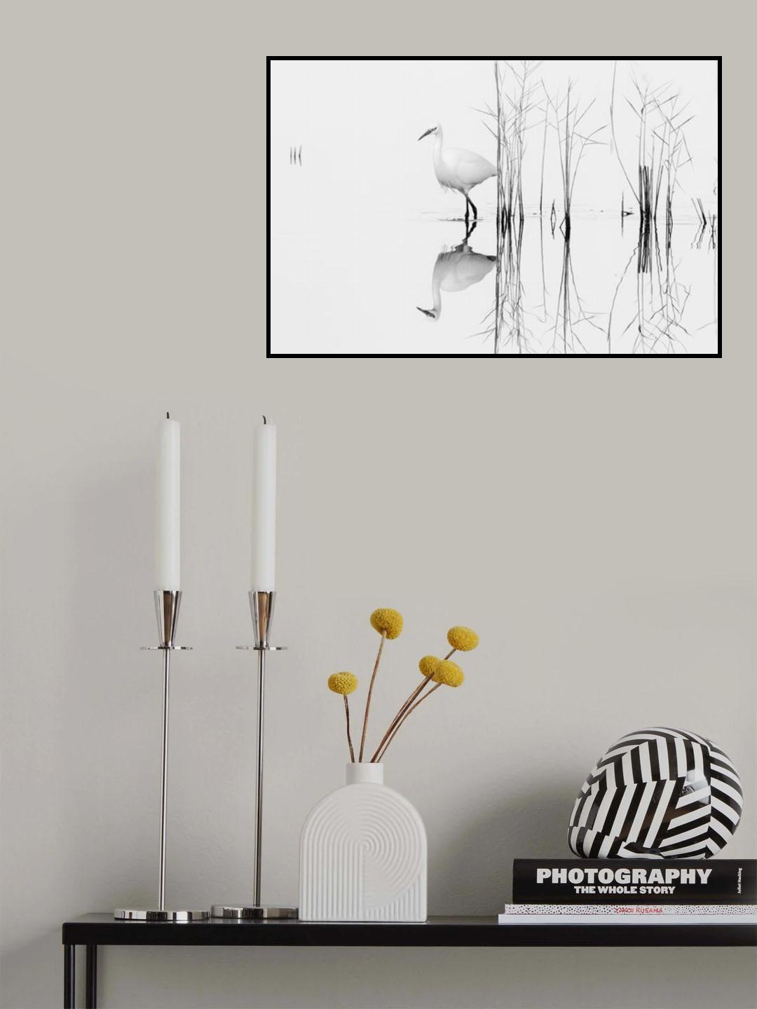 white Poster och Canvastavla