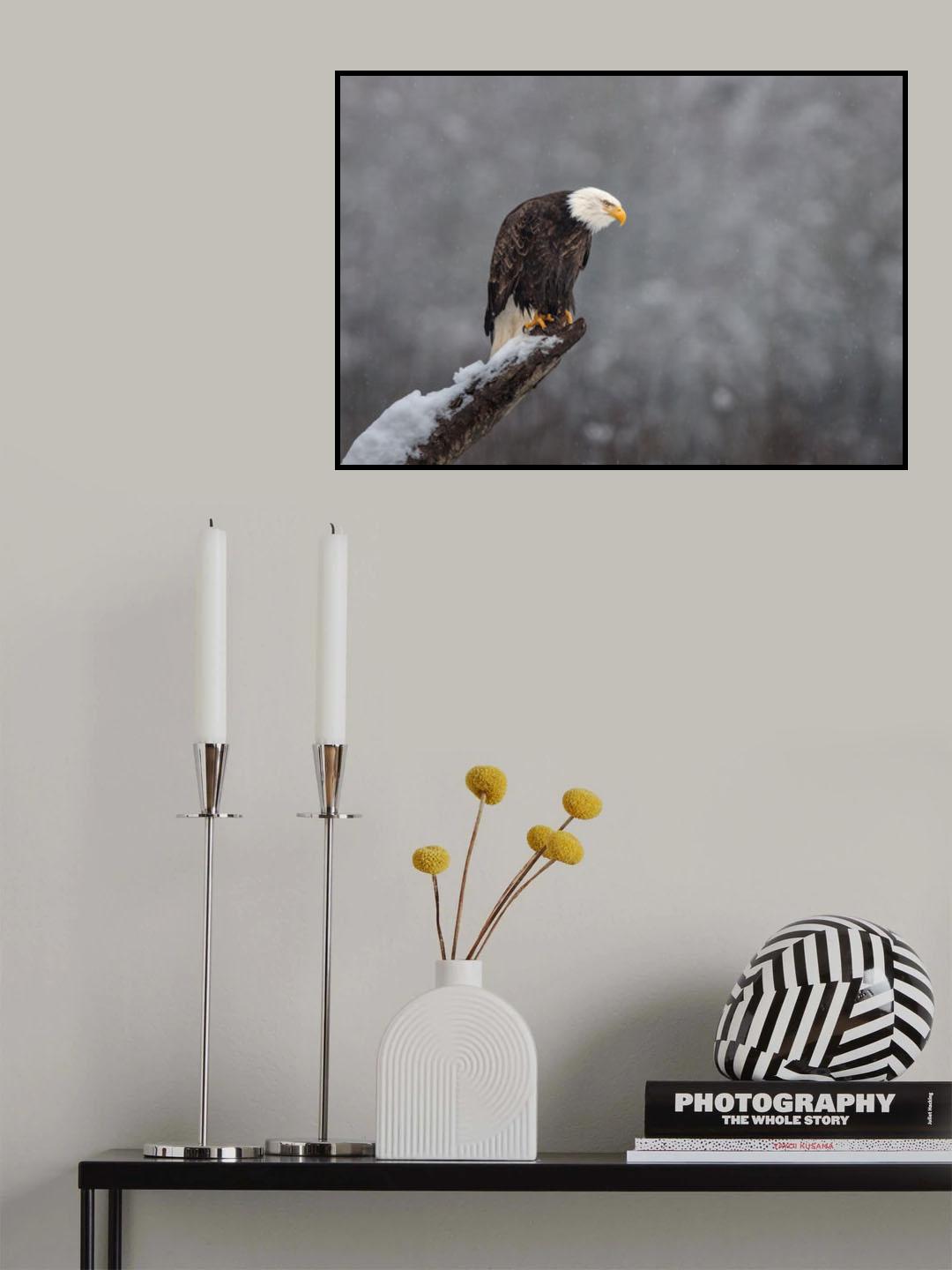 Snow on the Skagit Poster och Canvastavla
