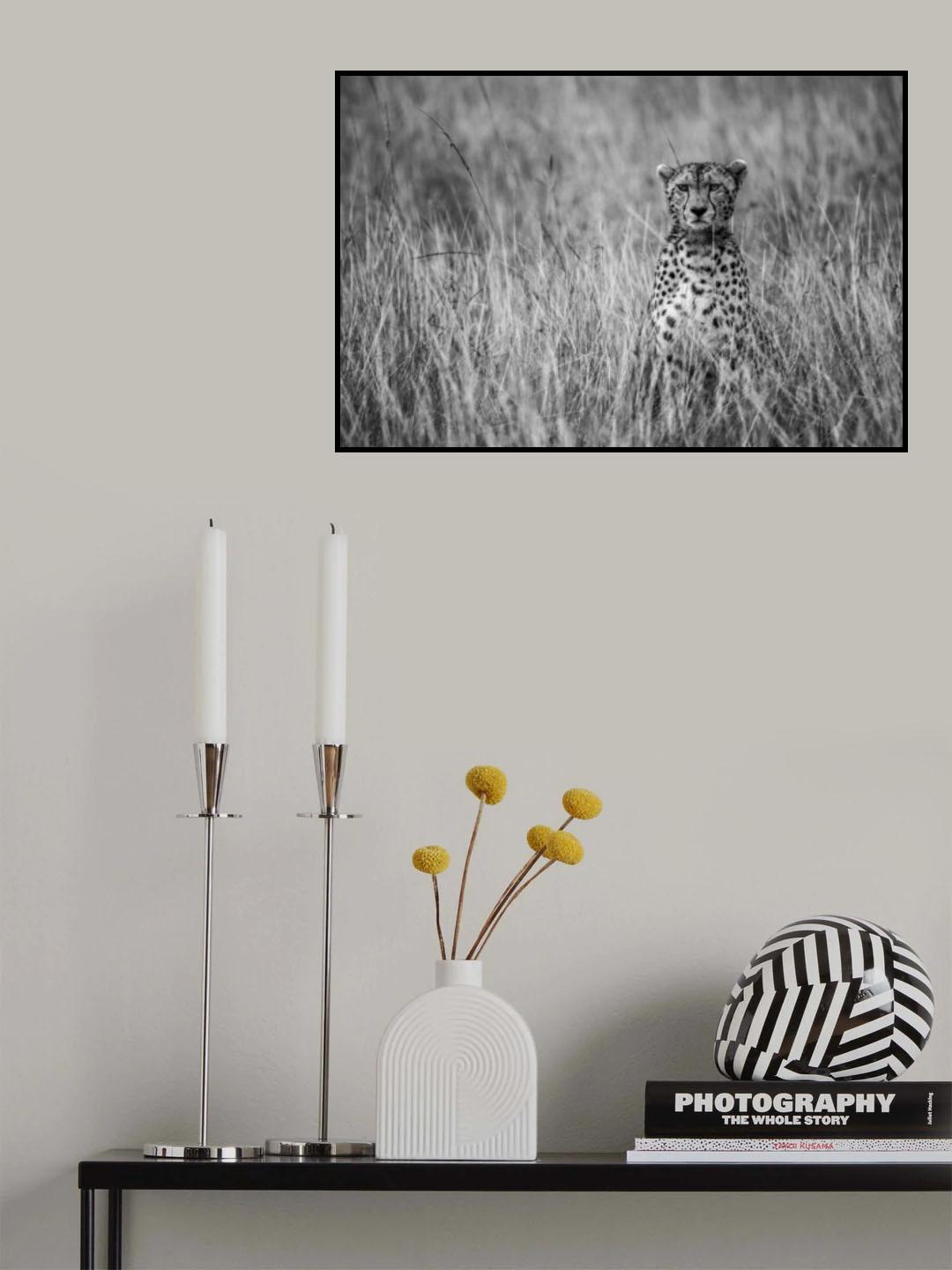 Cheetah Poster och Canvastavla