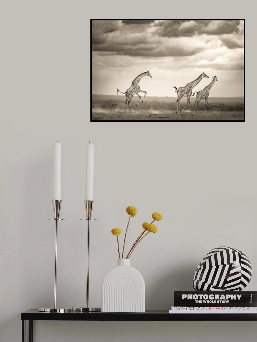 Jumping Giraffe Poster och Canvastavla