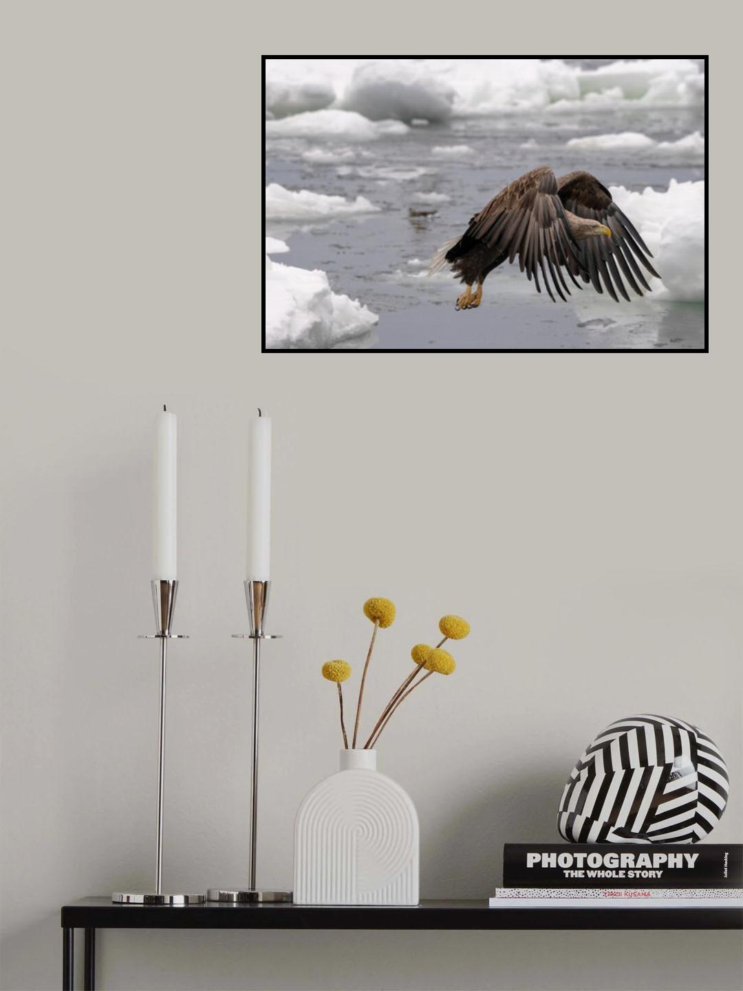 Going Home Poster och Canvastavla