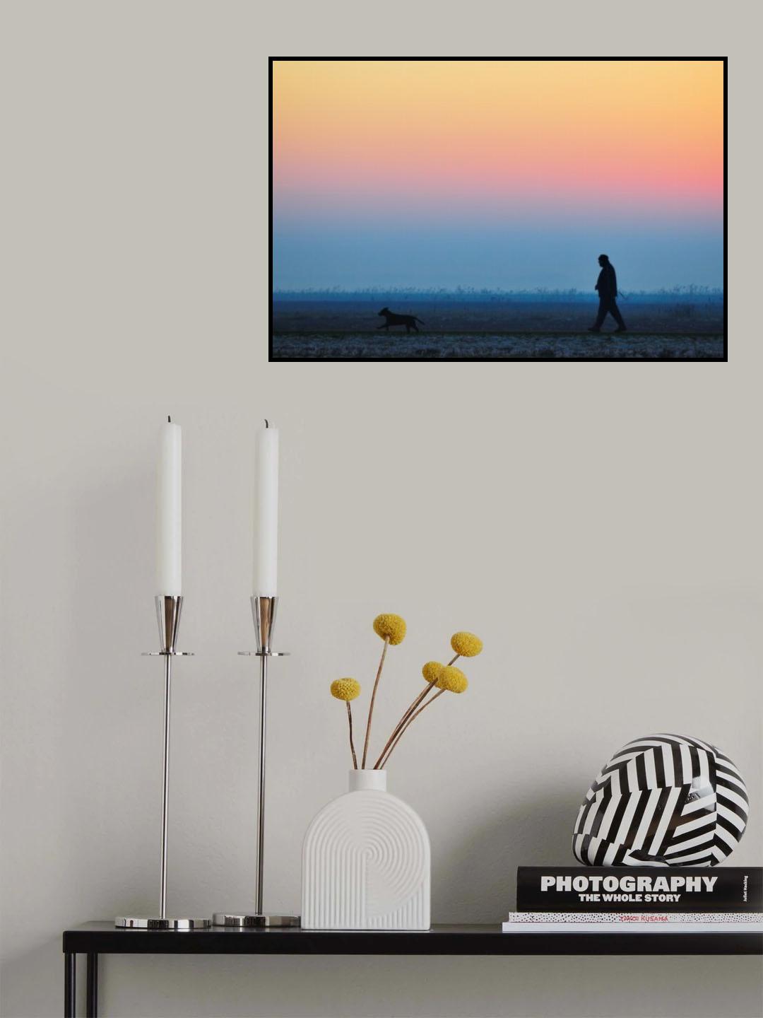 lonely winter afternoon dog walk Poster och Canvastavla