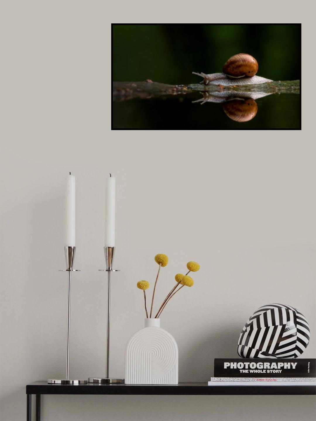 Beside Forrest Pond Poster och Canvastavla