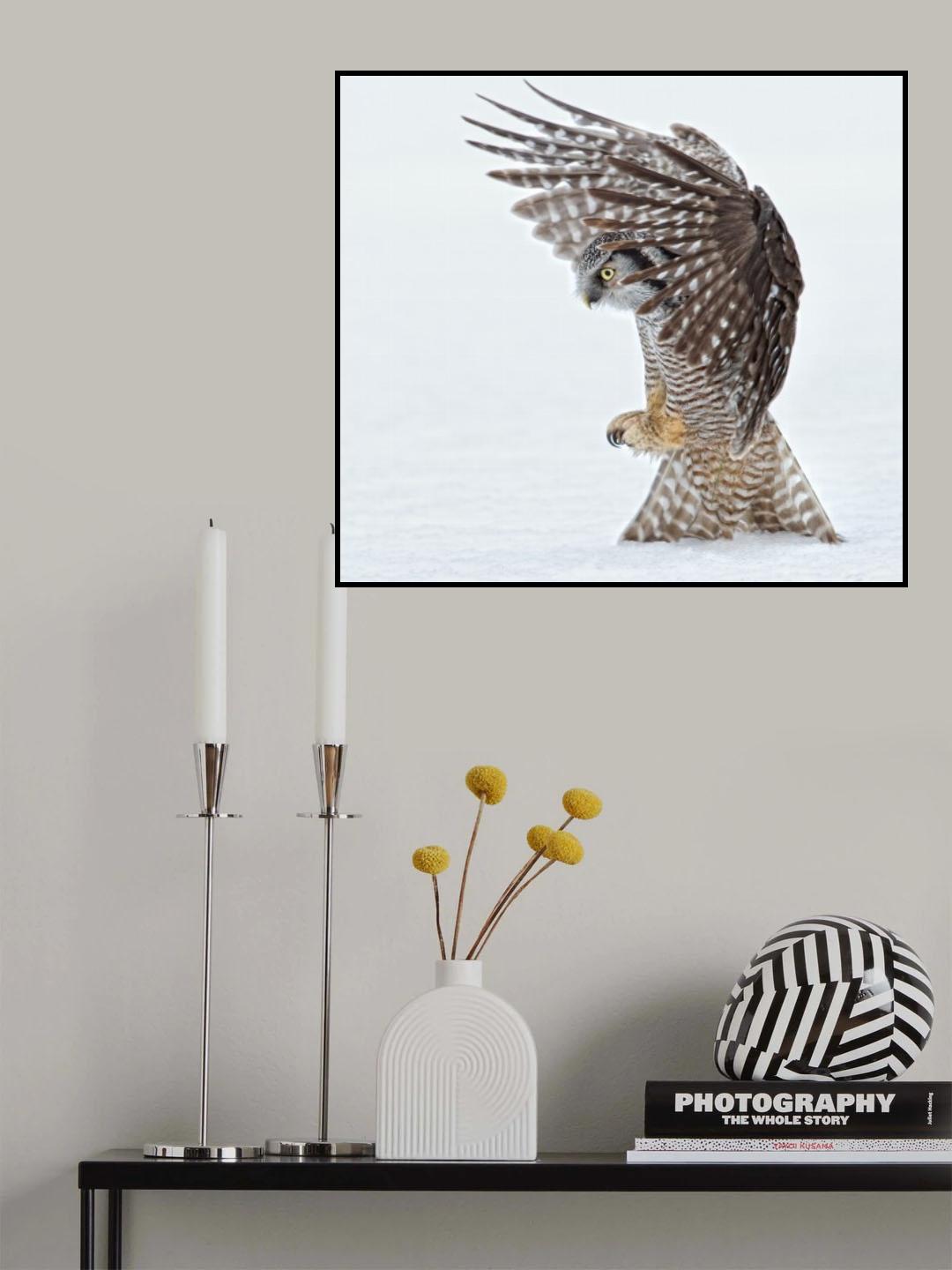 Pouncing !!!! Poster och Canvastavla