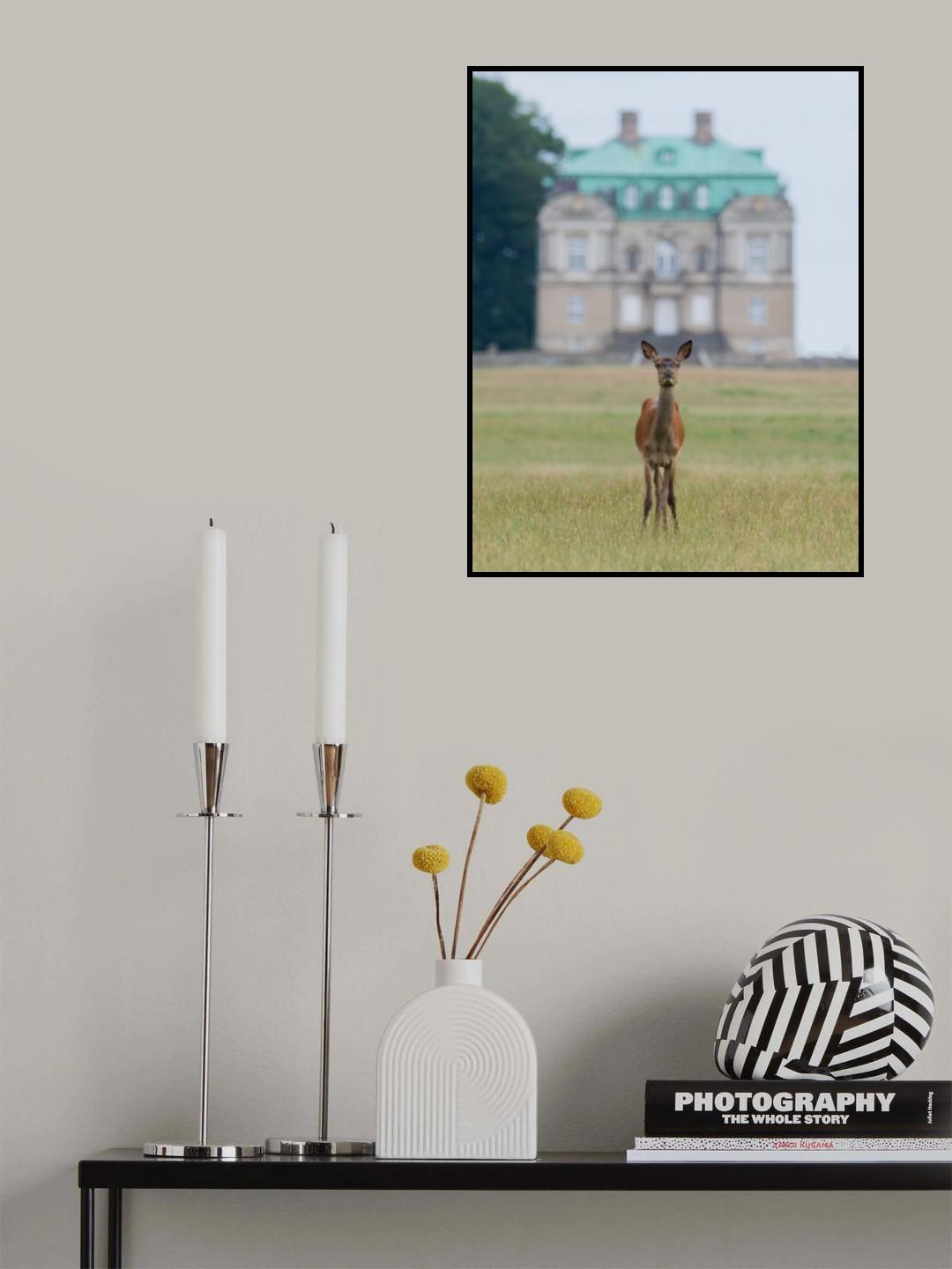 Det boss of the castle Poster och Canvastavla
