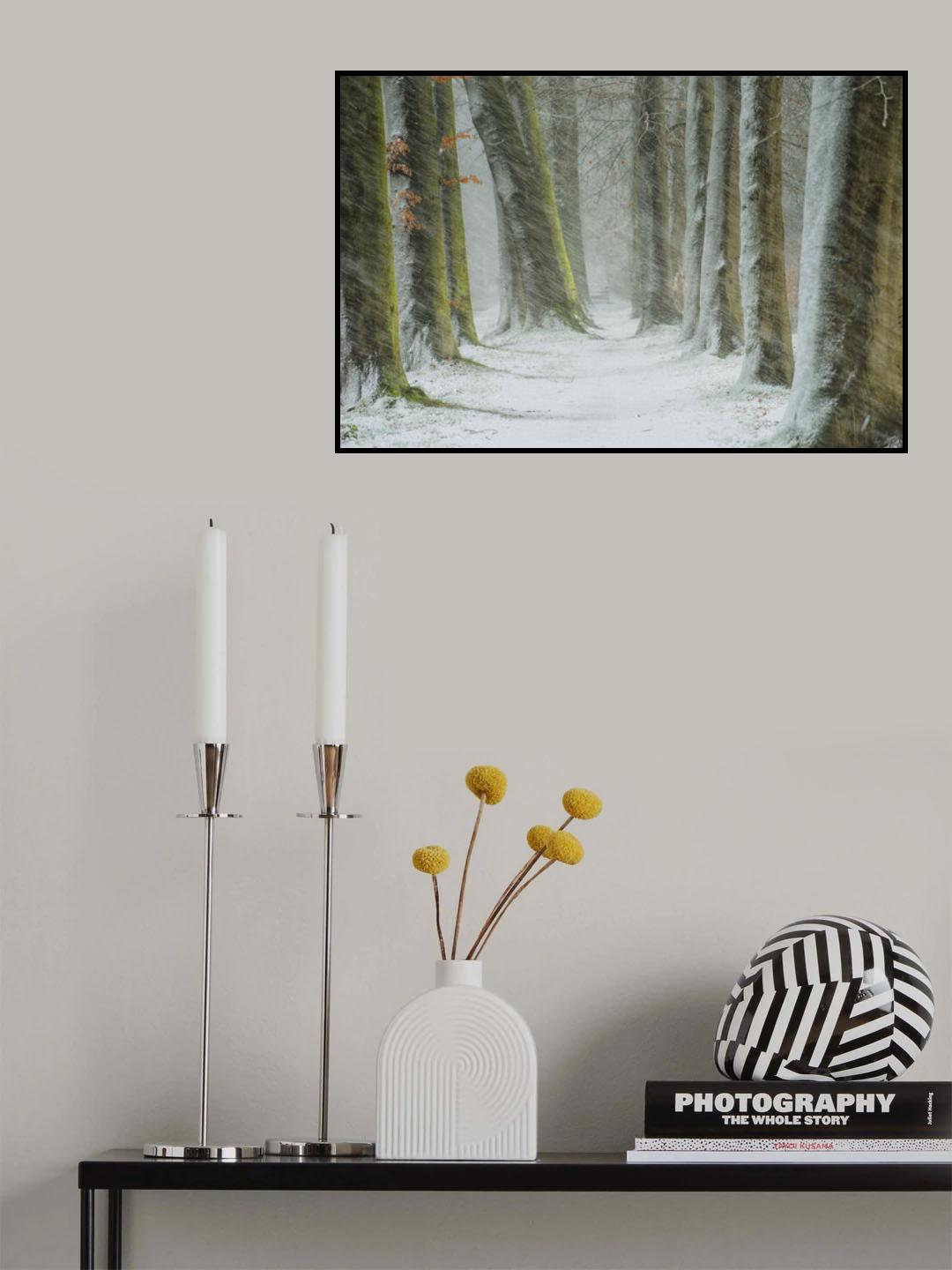 Transformation Poster och Canvastavla