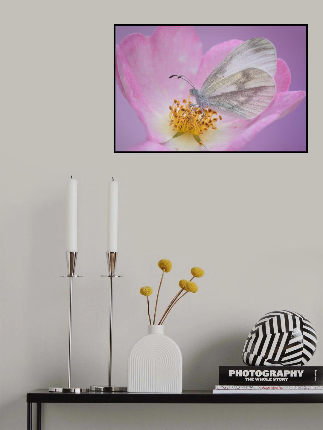 in the rose Poster och Canvastavla
