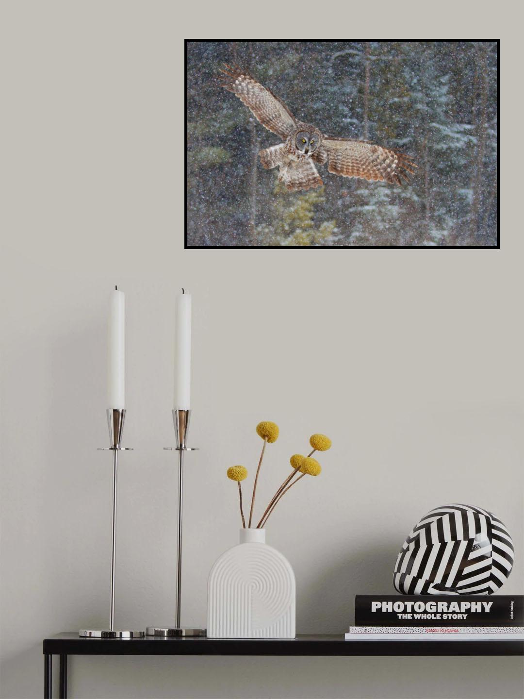 Great Grey Owl in Snowfall Poster och Canvastavla