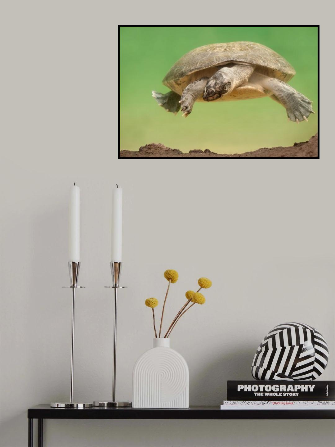 Hanging around Poster och Canvastavla