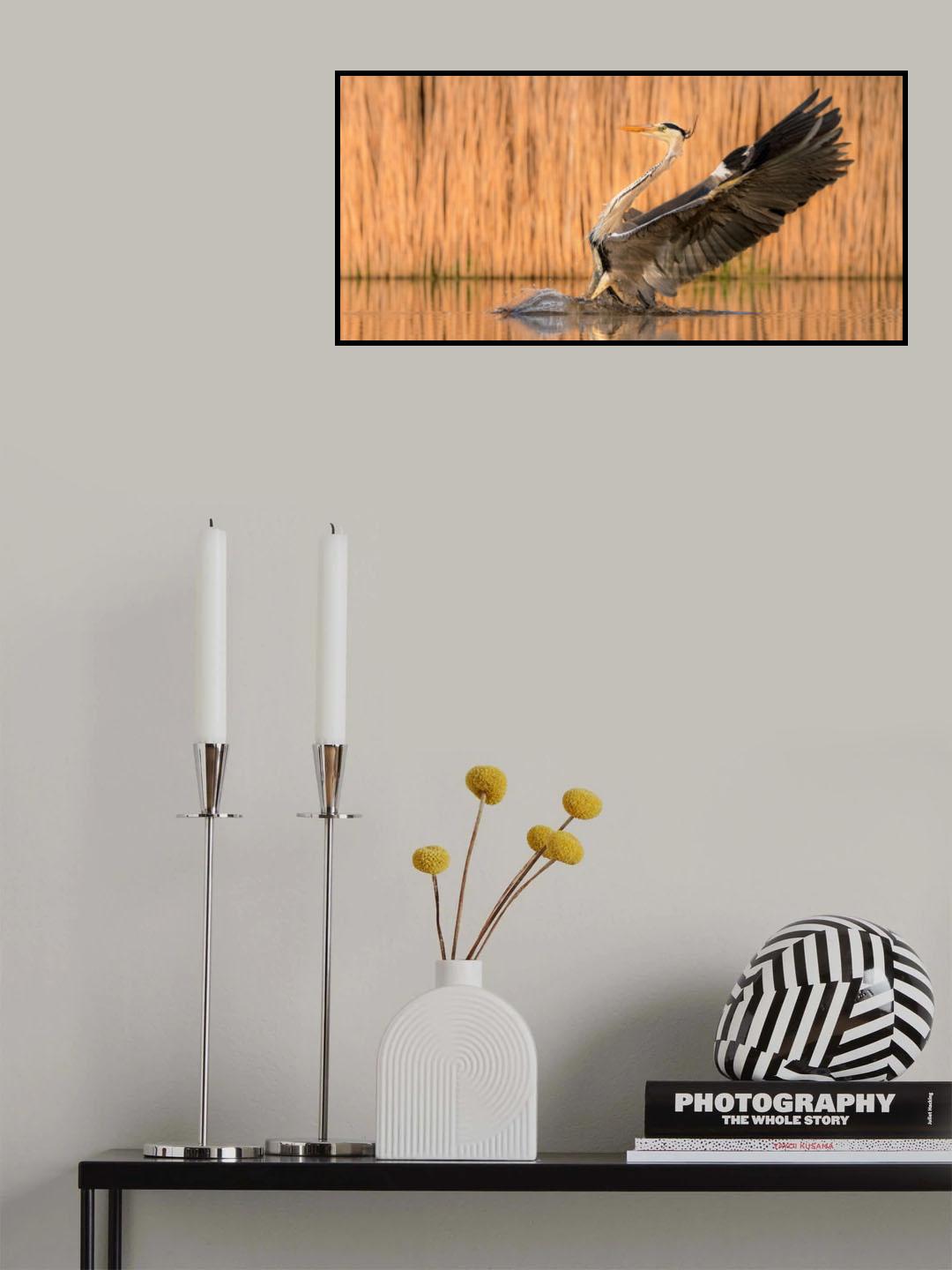 Gliding on water Poster och Canvastavla