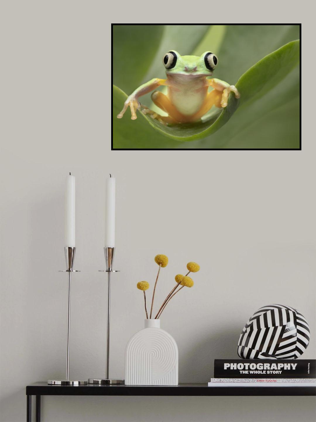 Lemur Tree Frog on a Leaf Poster och Canvastavla