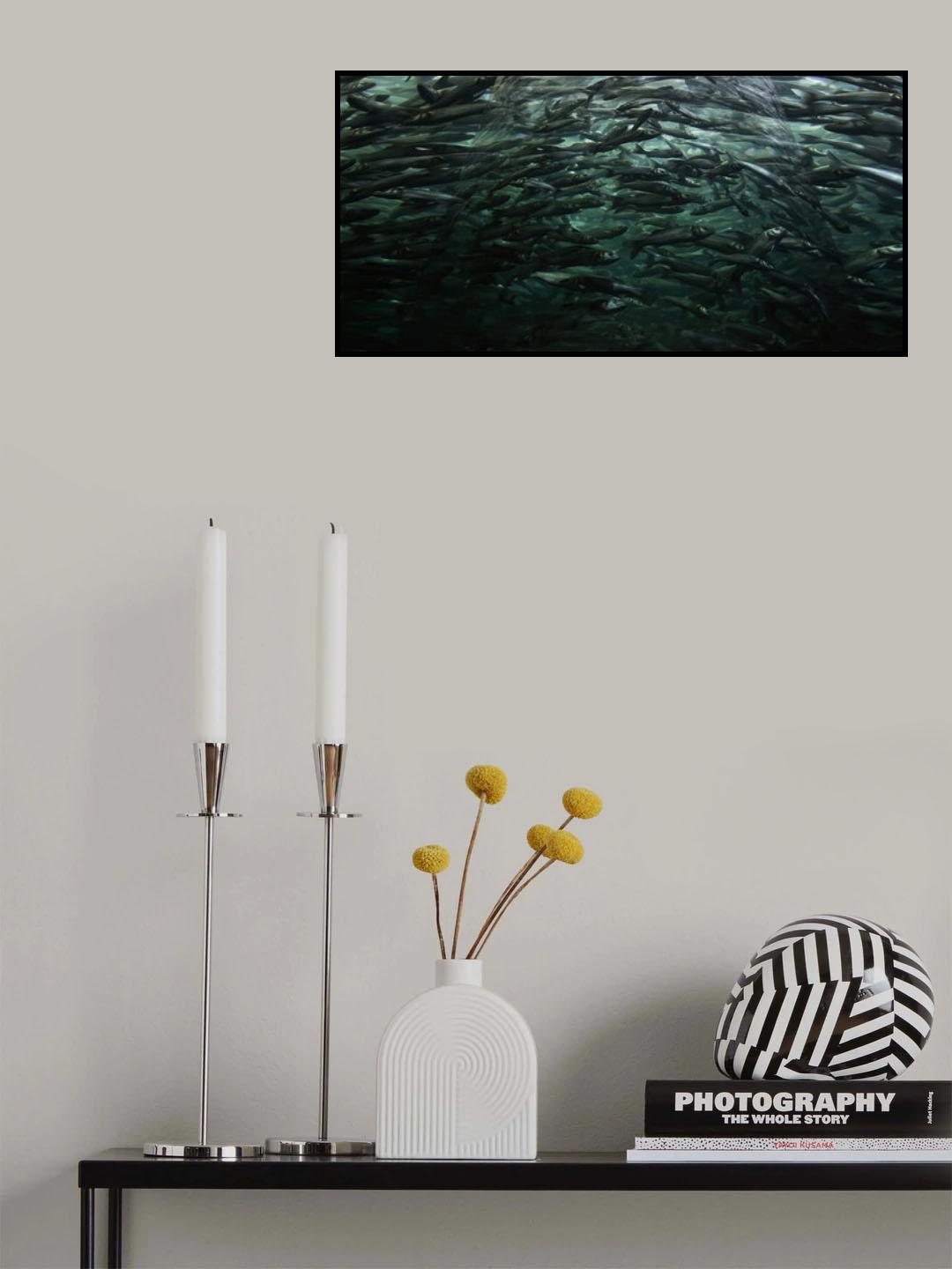 Dream of freedom. Poster och Canvastavla