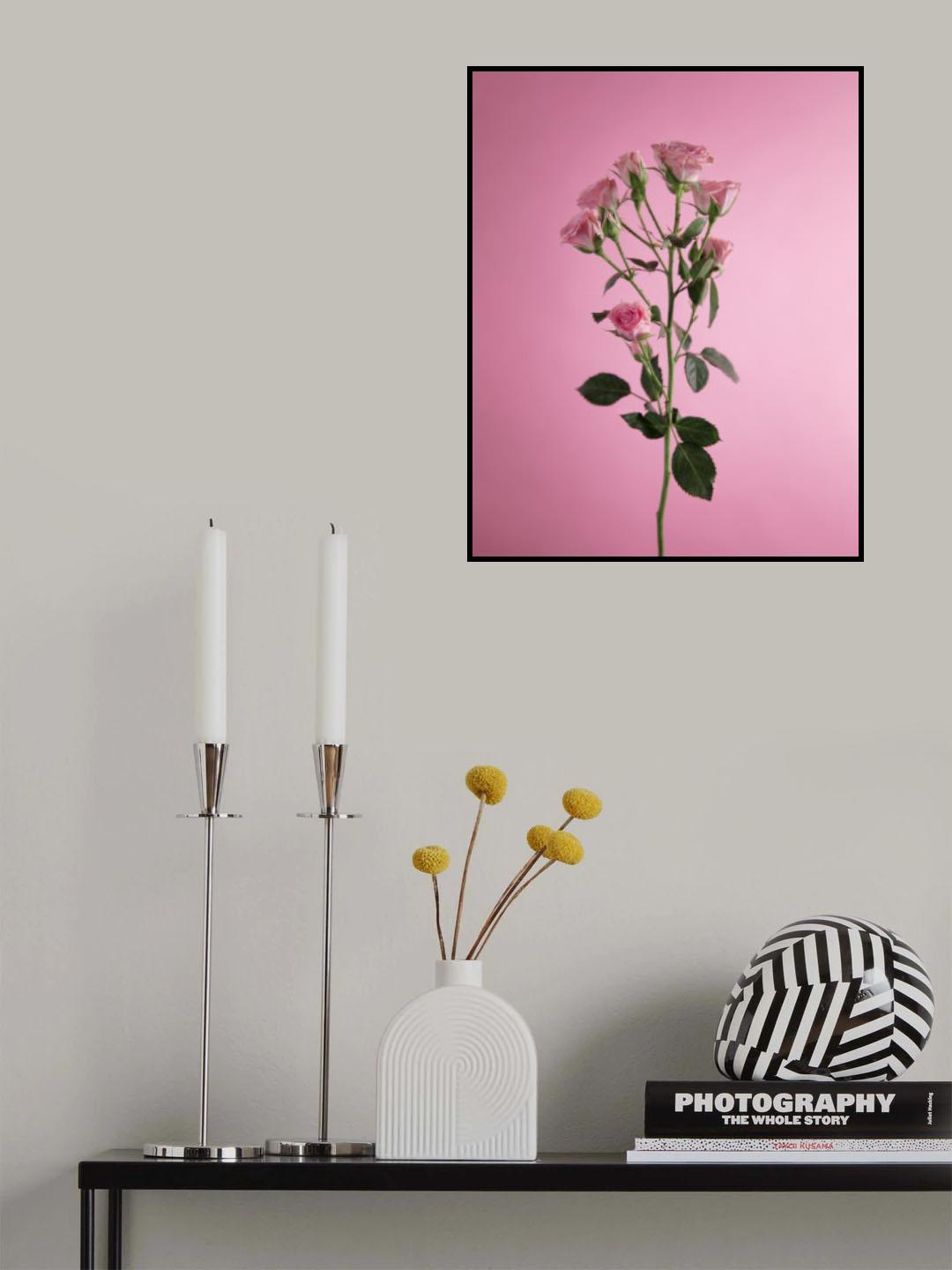 Pitiminí Poster och Canvastavla