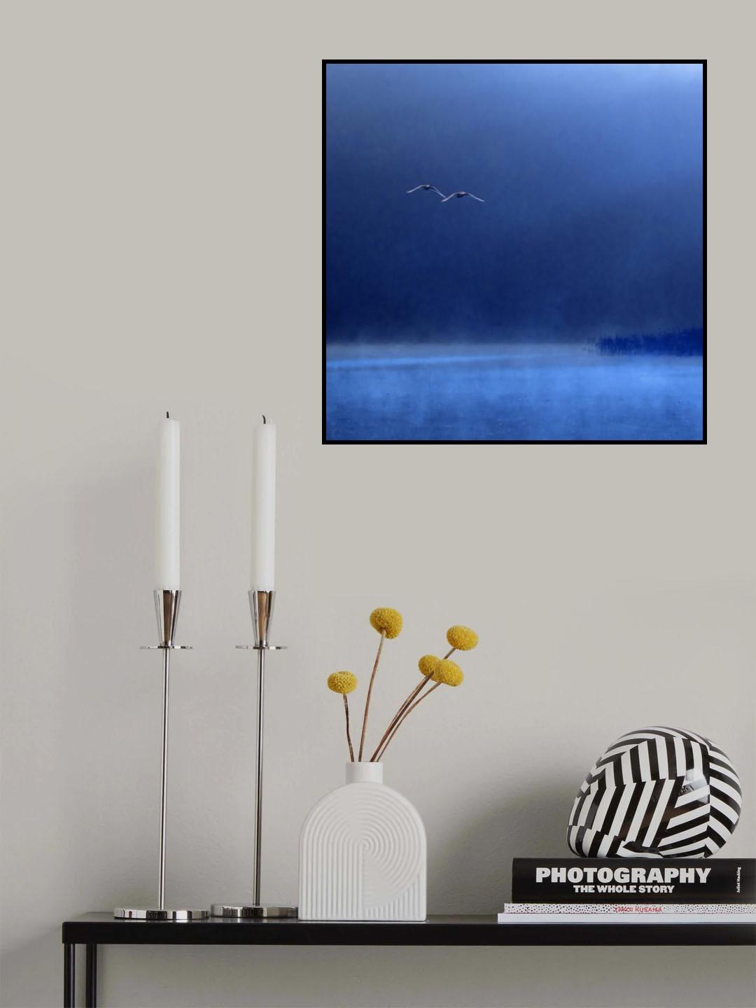 Swans Poster och Canvastavla
