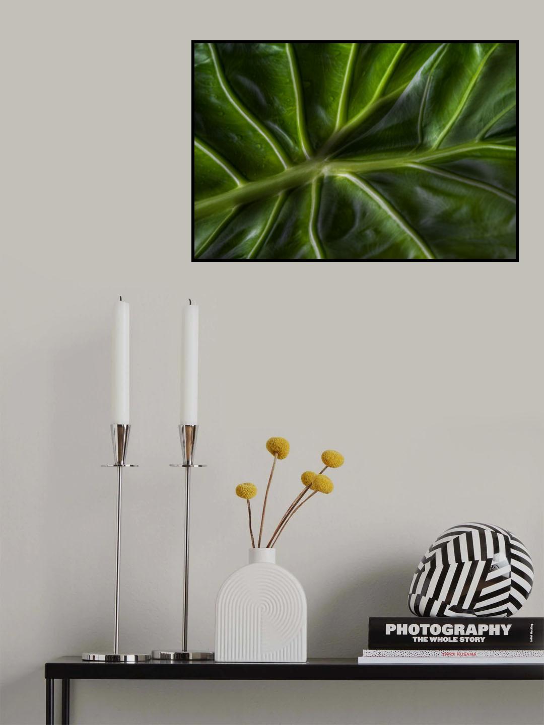 Nature from below Poster och Canvastavla