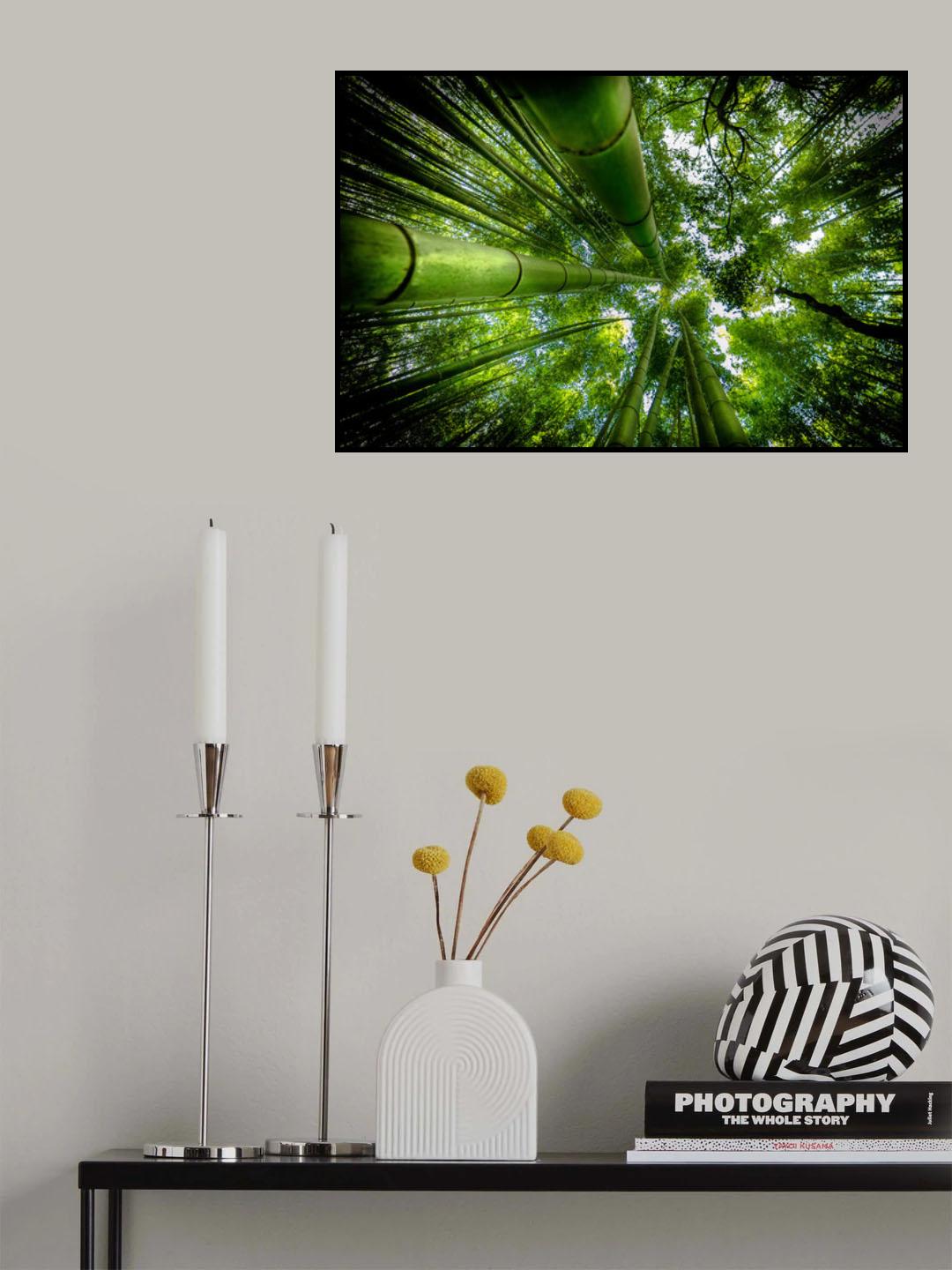 ARASHIYAMA Poster och Canvastavla