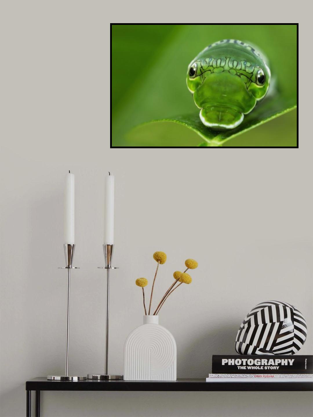 Not from this world... Poster och Canvastavla
