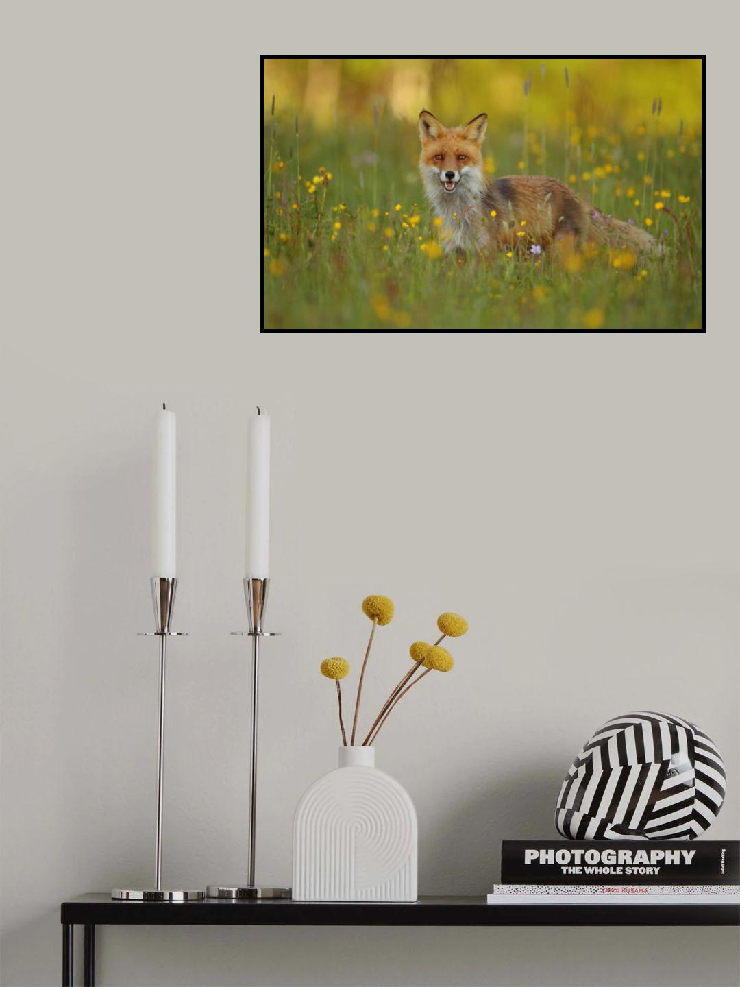 Red Fox Poster och Canvastavla