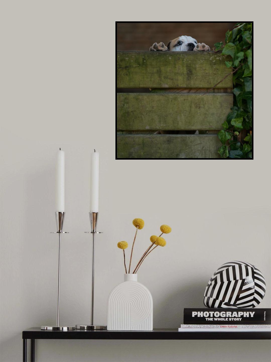 Need to grow a bit more... Poster och Canvastavla