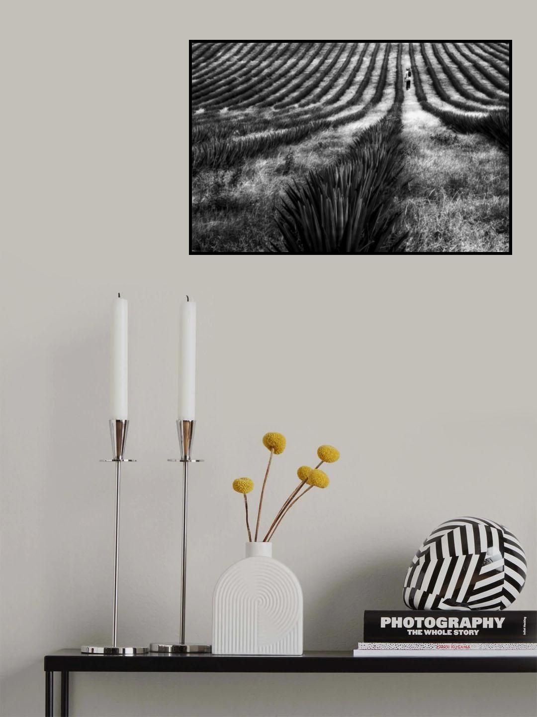 Poster och Canvastavla