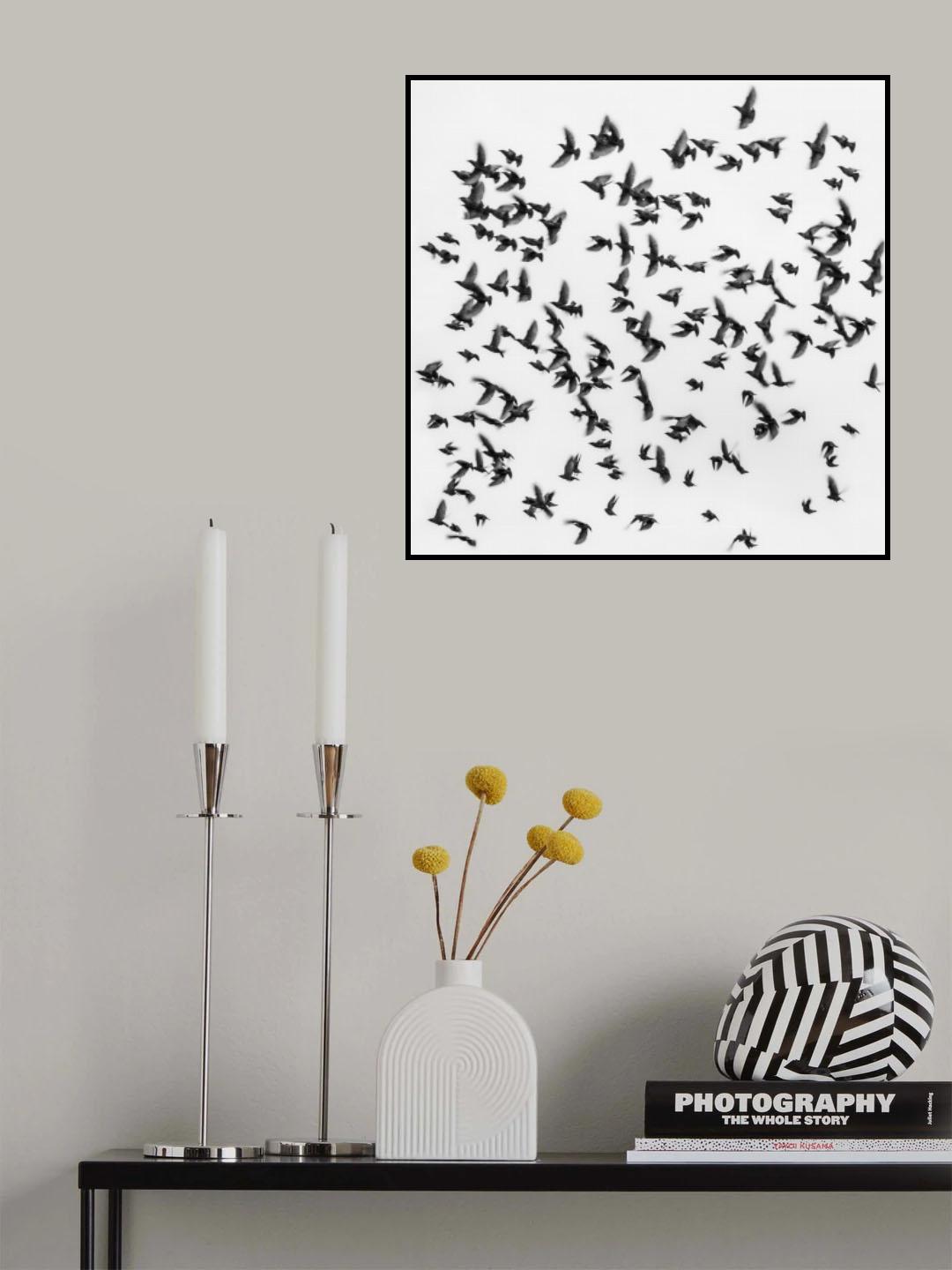 Birds Poster och Canvastavla