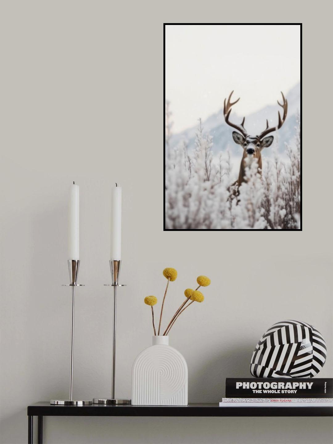 Curious Deer Poster och Canvastavla