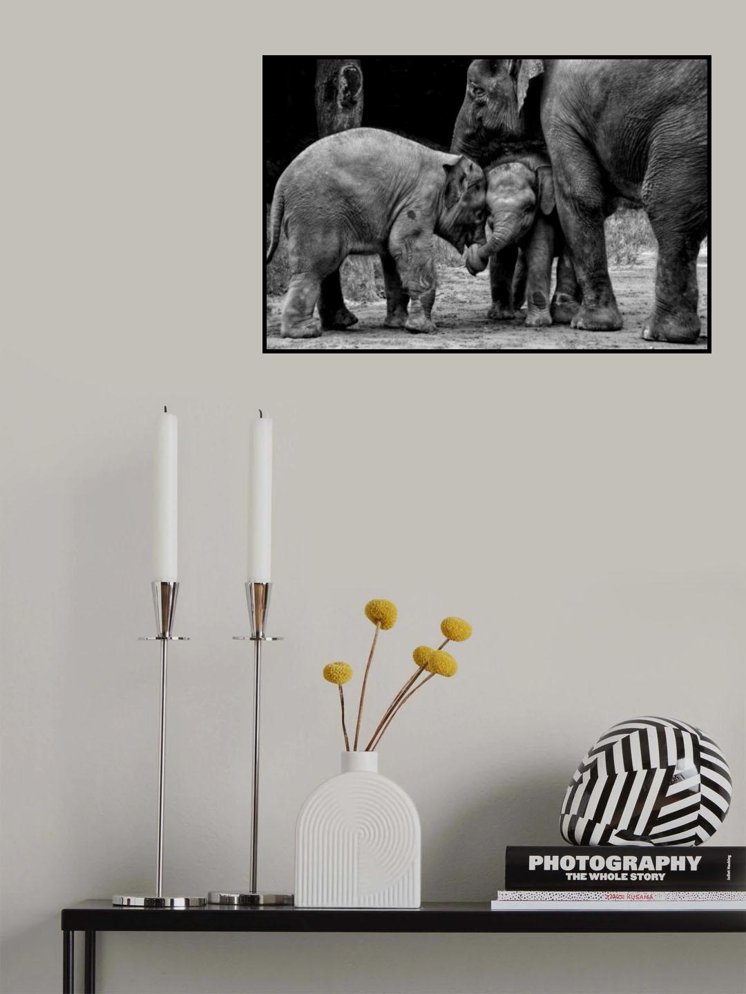 Friends Forever Poster och Canvastavla