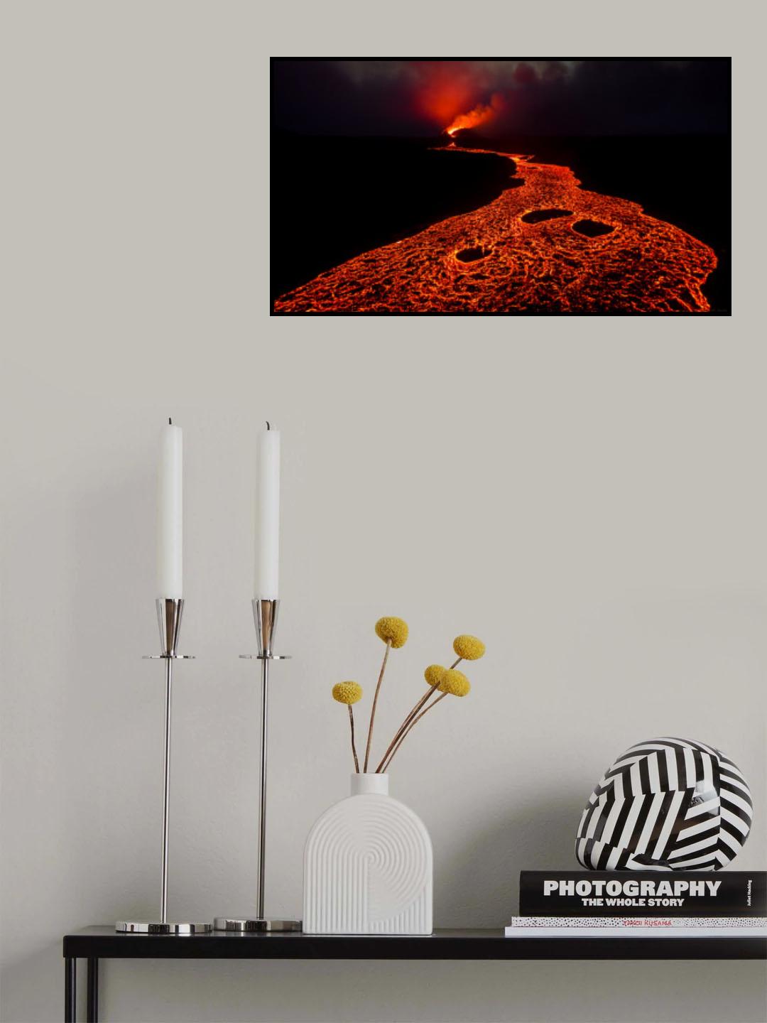 Phoenix Flying Poster och Canvastavla