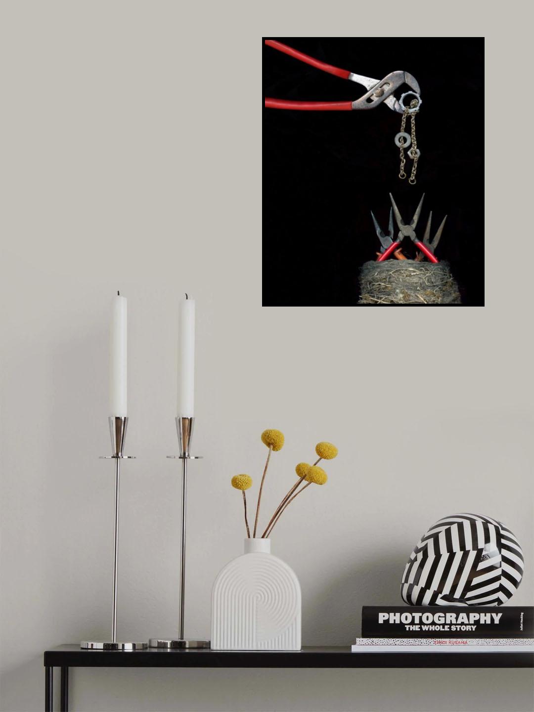 Song Of The Western Needlenose Poster och Canvastavla