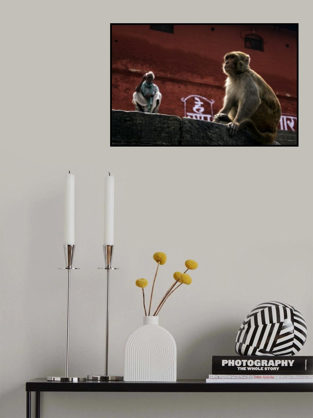 Evolution Poster och Canvastavla