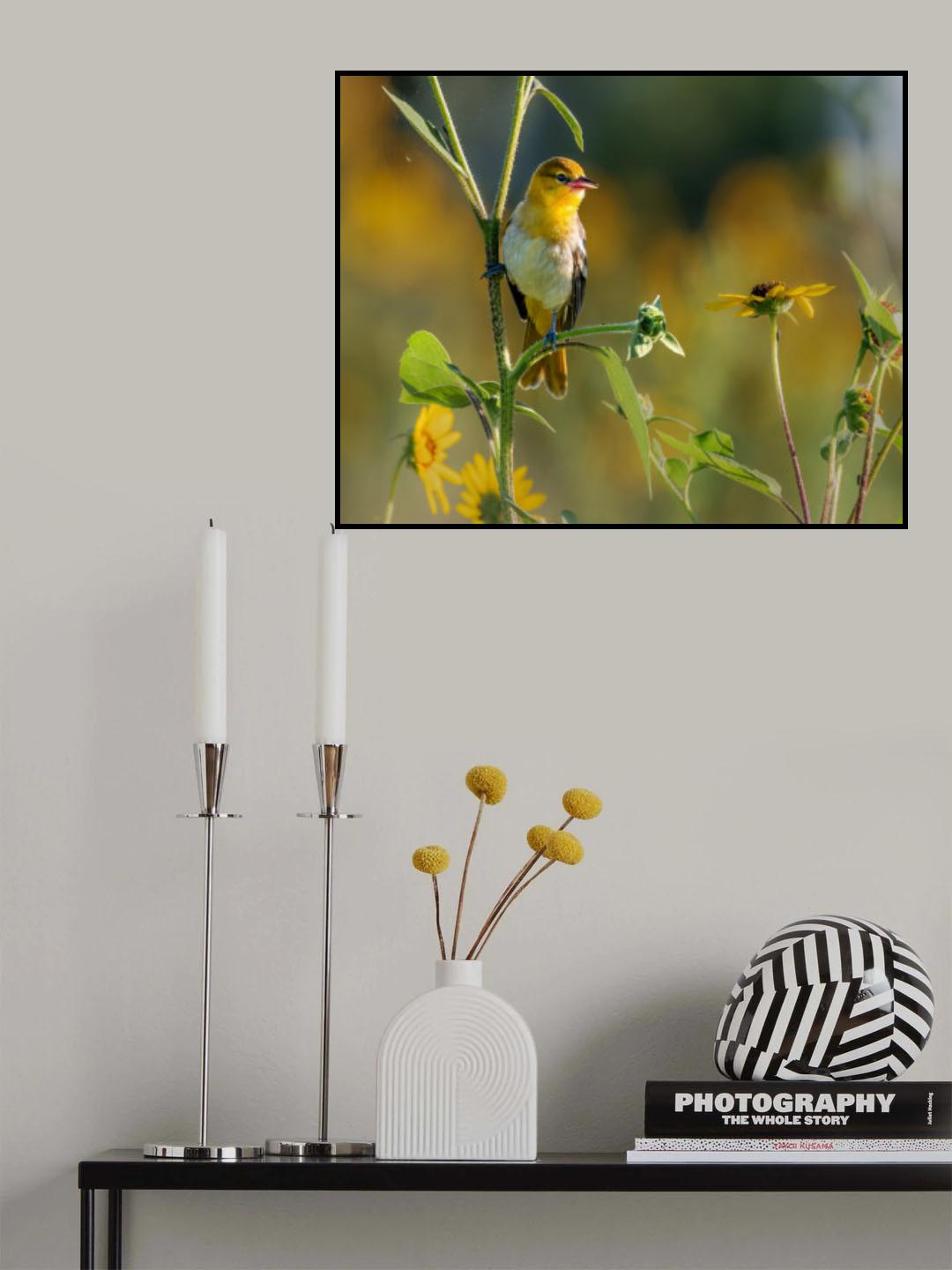 bullock's oriole Poster och Canvastavla