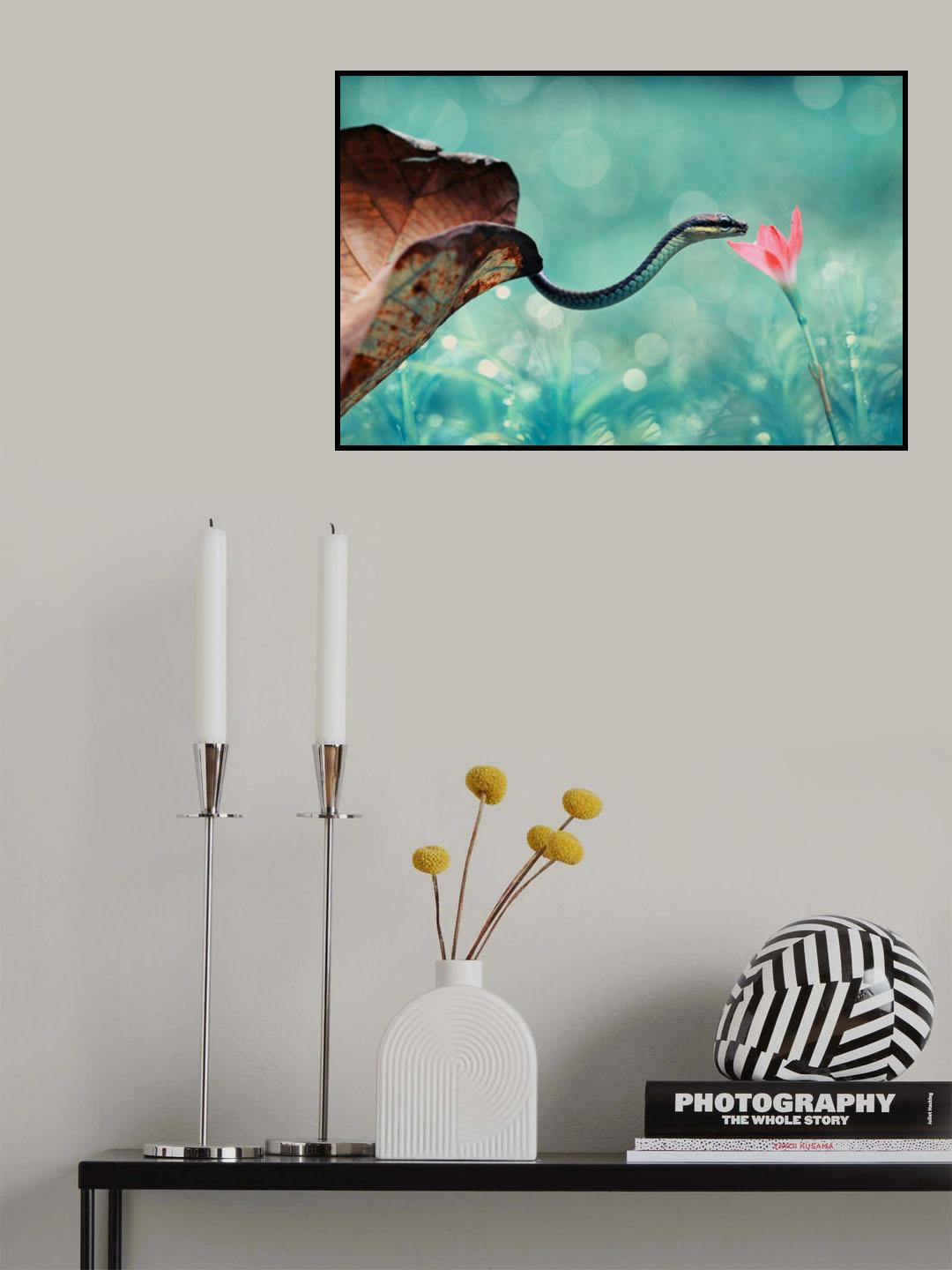 Snake - Venom with Honey Poster och Canvastavla