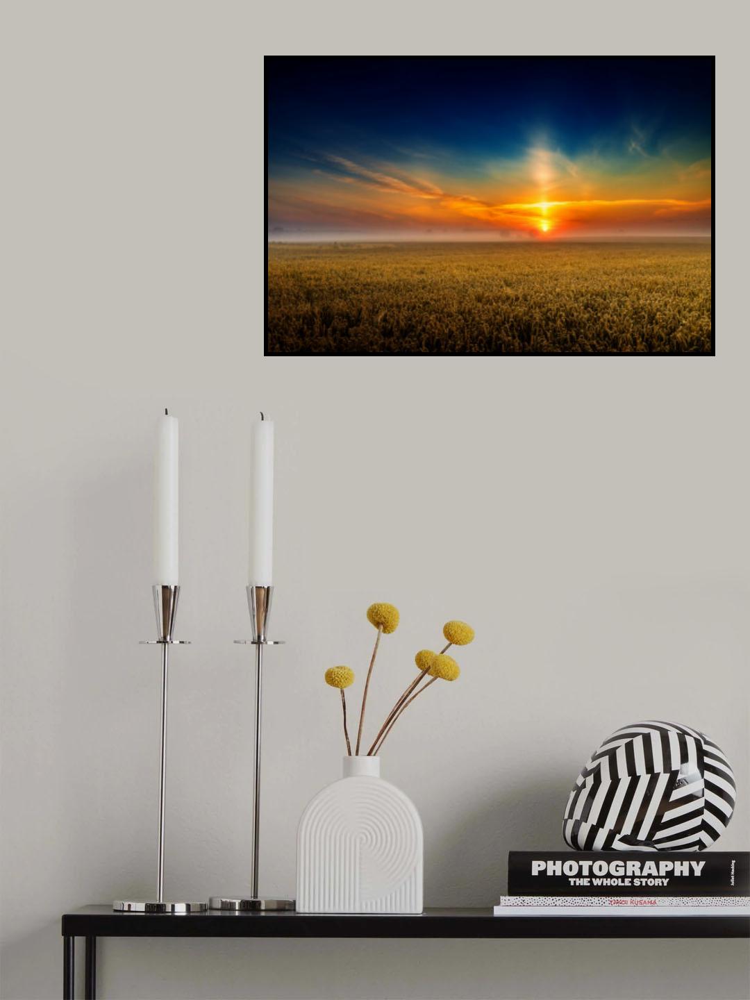 MorningLight Poster och Canvastavla