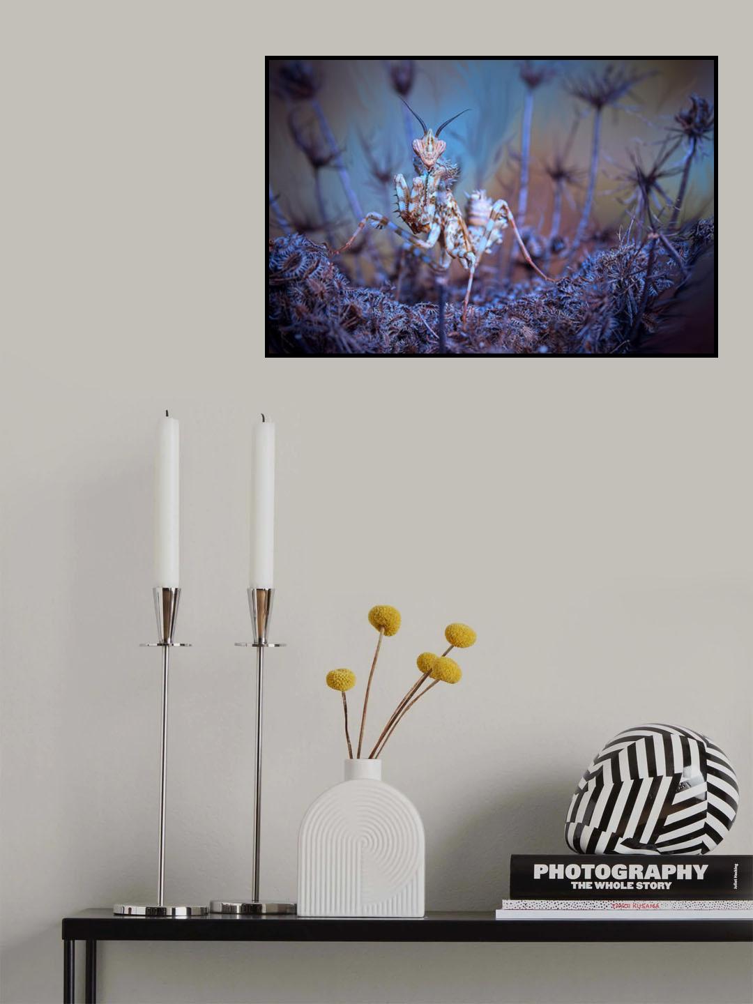 Thistle mantis 2 Poster och Canvastavla