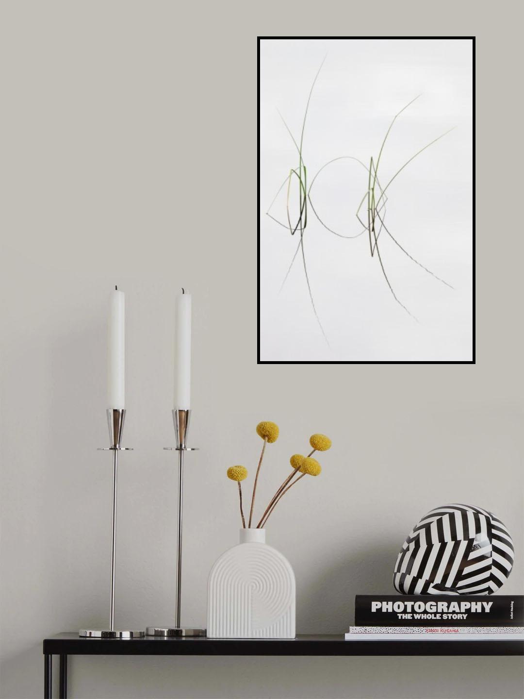 Zensation Poster och Canvastavla