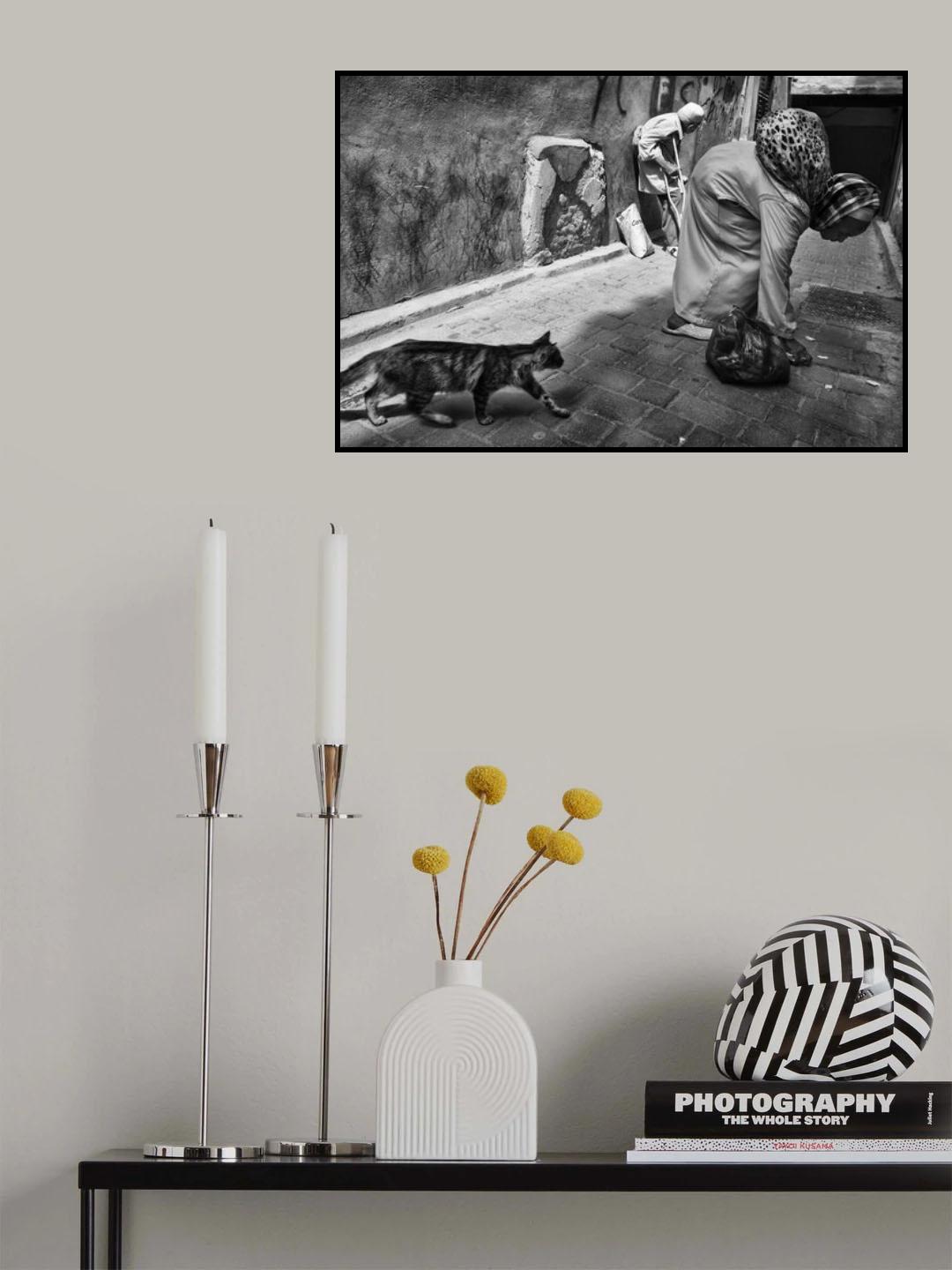 s/t Poster och Canvastavla