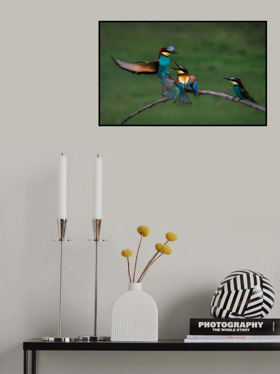 Hi, It is My Territory Poster och Canvastavla