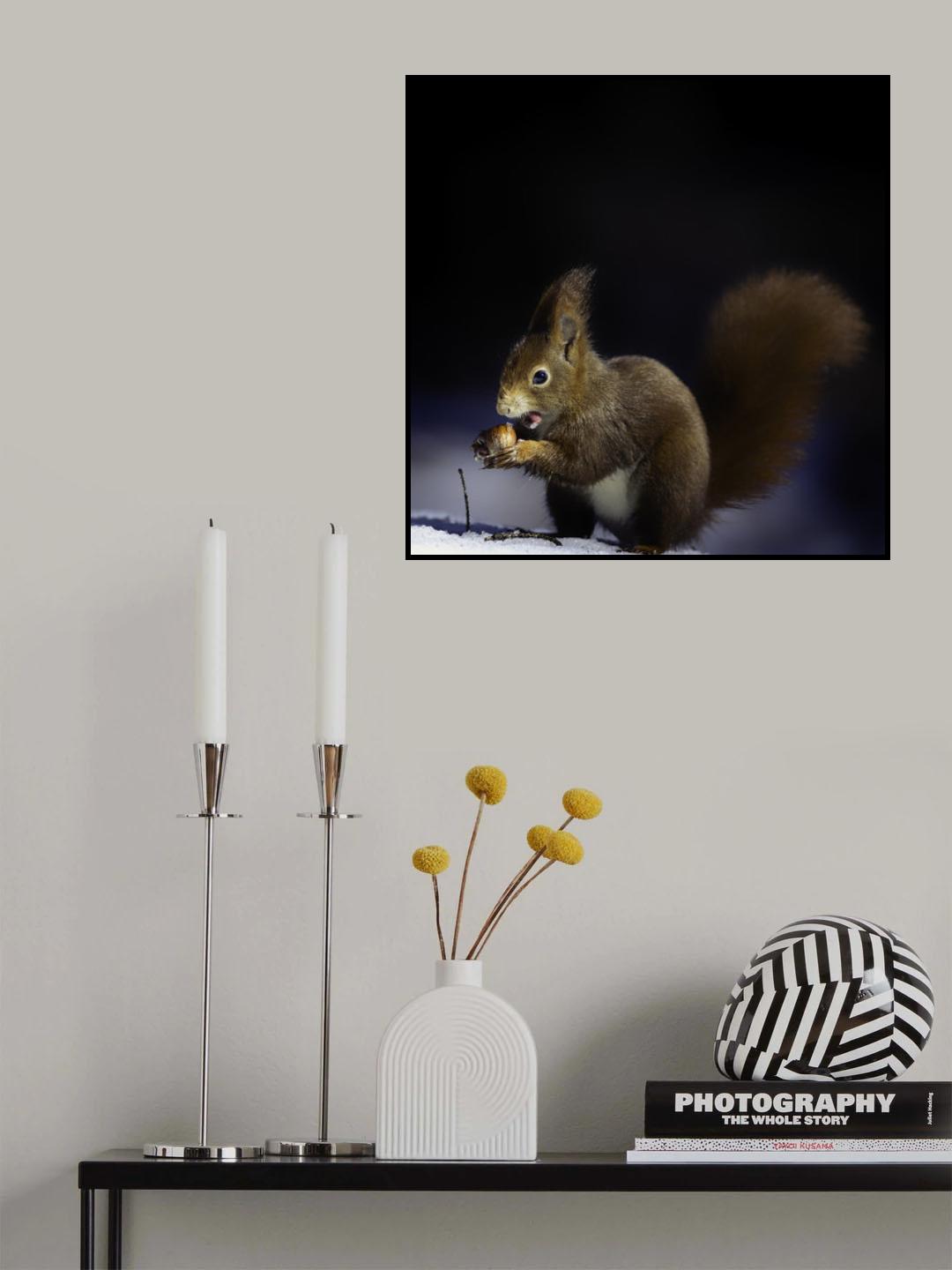 Nuts Poster och Canvastavla