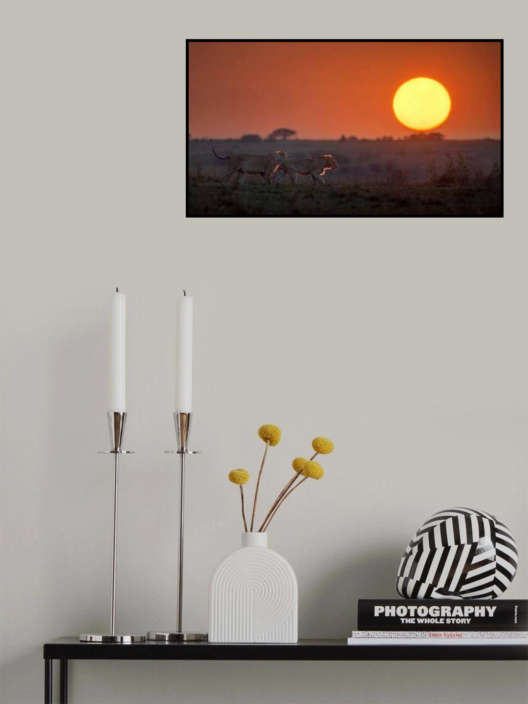 Morning Africa Poster och Canvastavla