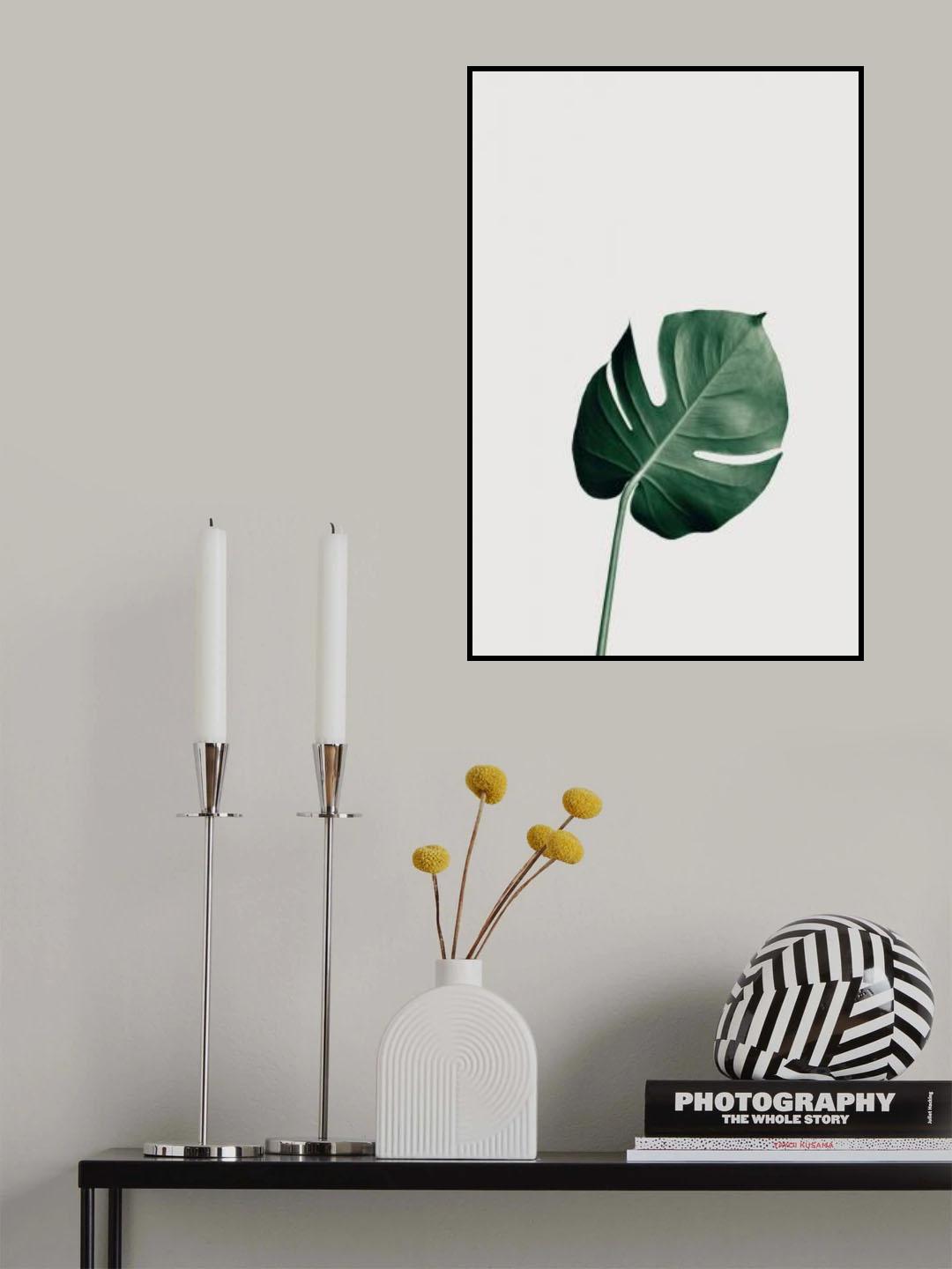 Monstera Natural 01 Poster och Canvastavla