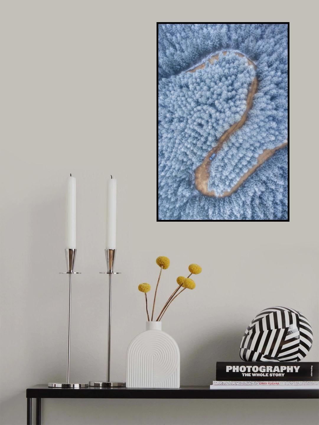 Snow forest road Poster och Canvastavla