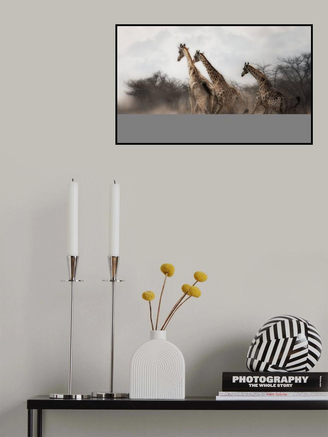 We're gonna be free... Poster och Canvastavla
