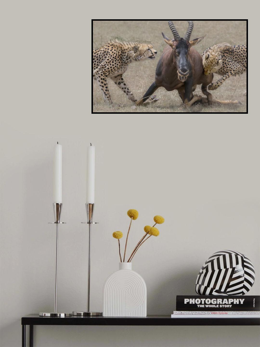 Battle Poster och Canvastavla