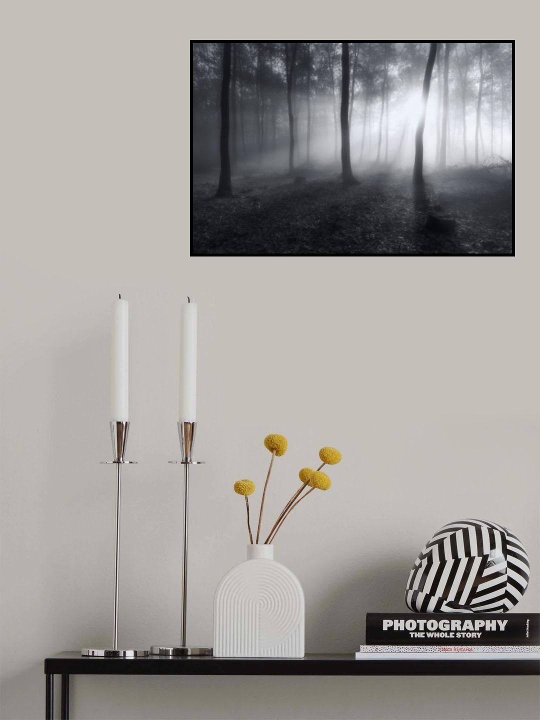 Hazy Light Poster och Canvastavla