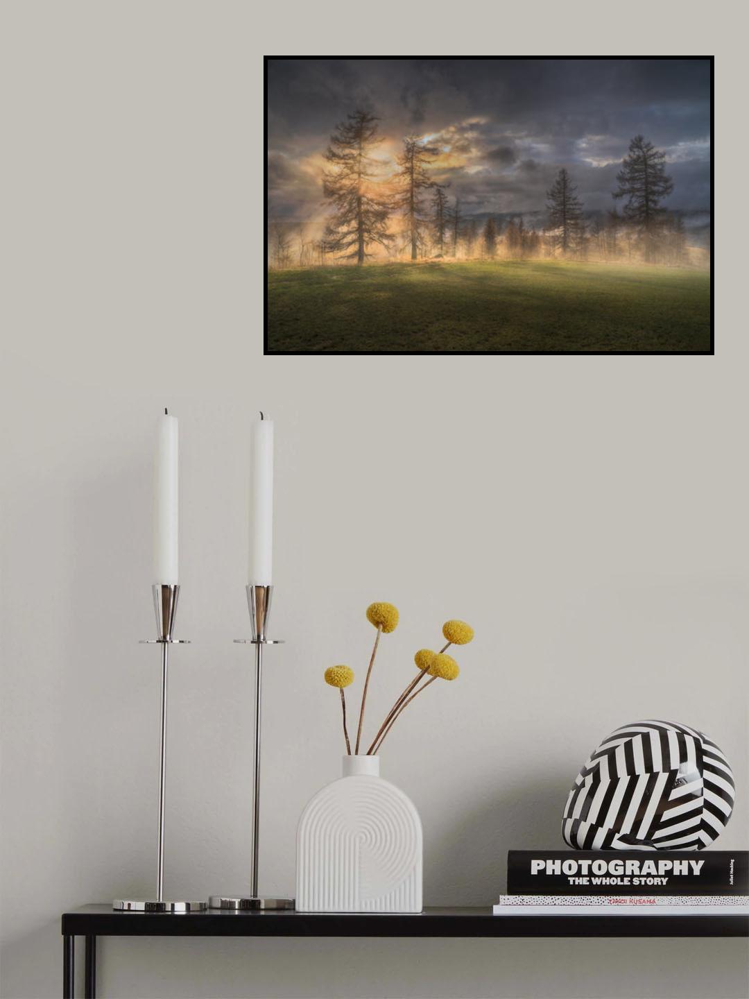 Silent witnesses of the sunset Poster och Canvastavla