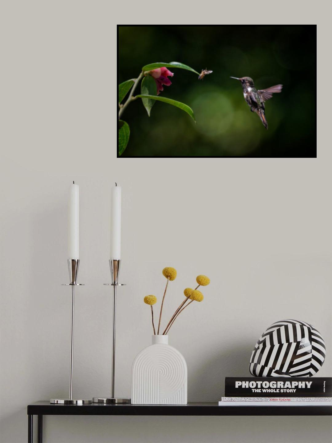 Volcano hummingbird vs Bee Poster och Canvastavla