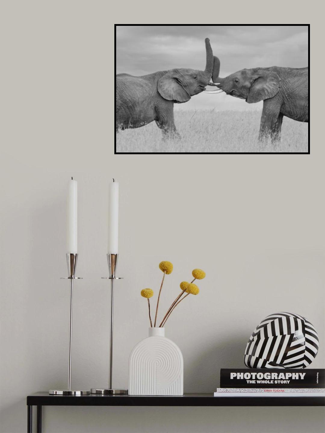 Friendly Poster och Canvastavla