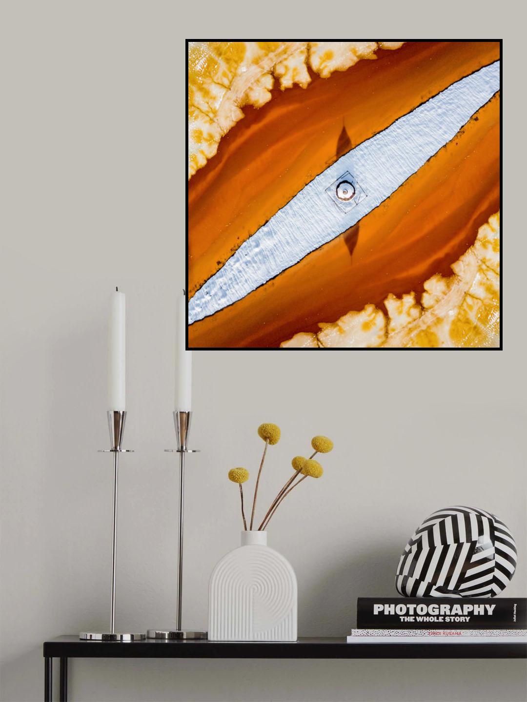 Snake eyes Poster och Canvastavla