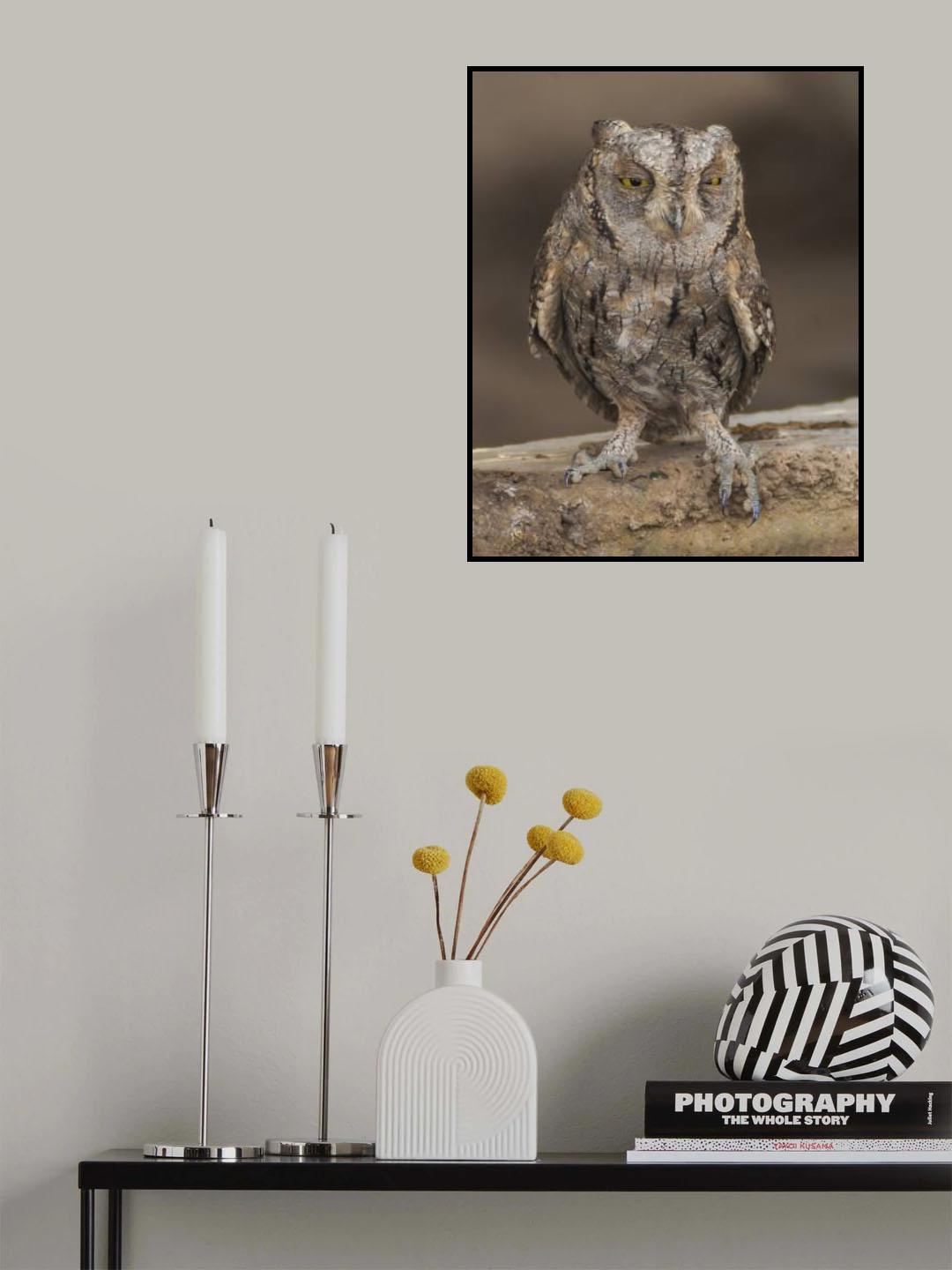 I'm a dry branch Poster och Canvastavla