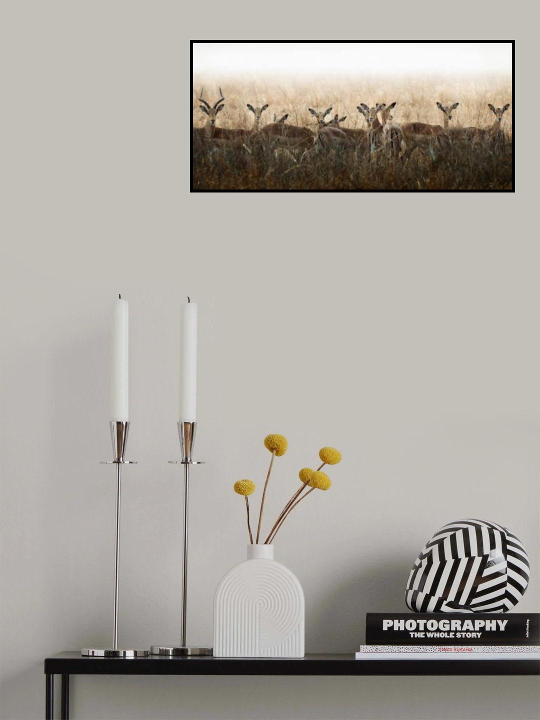 Poster och Canvastavla